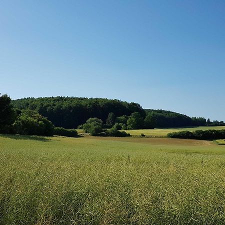 Ferienhaus Forstblick Betzenstein Luaran gambar