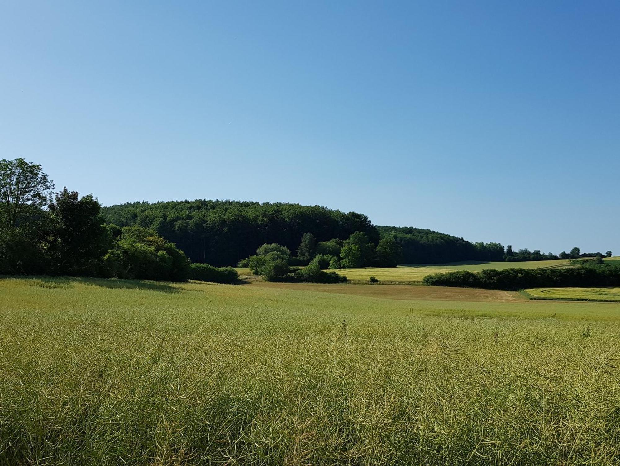 Ferienhaus Forstblick Betzenstein Luaran gambar