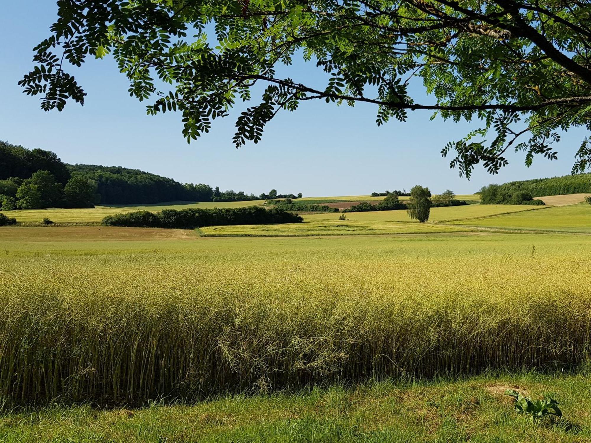 Ferienhaus Forstblick Betzenstein Luaran gambar