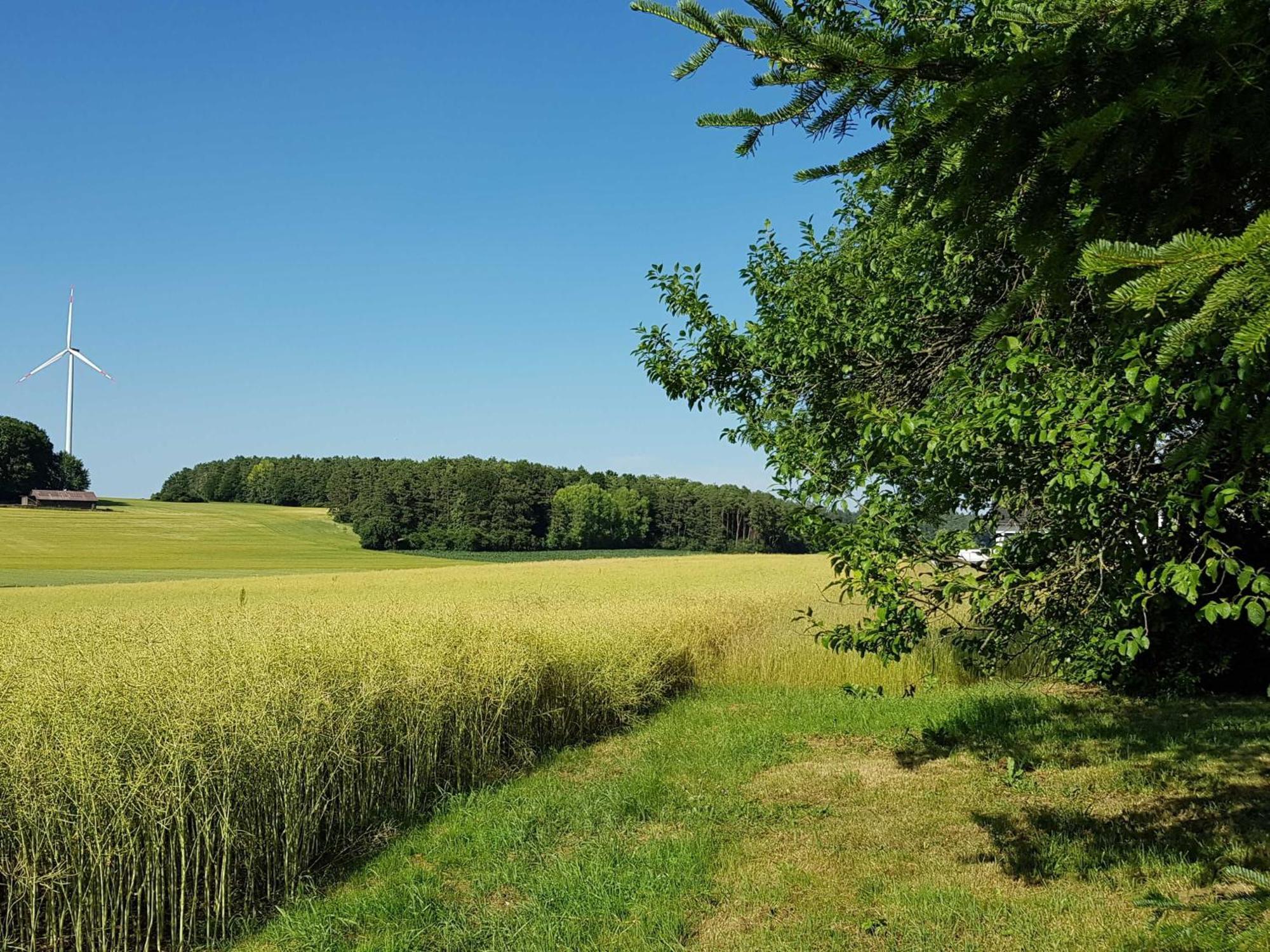 Ferienhaus Forstblick Betzenstein Luaran gambar