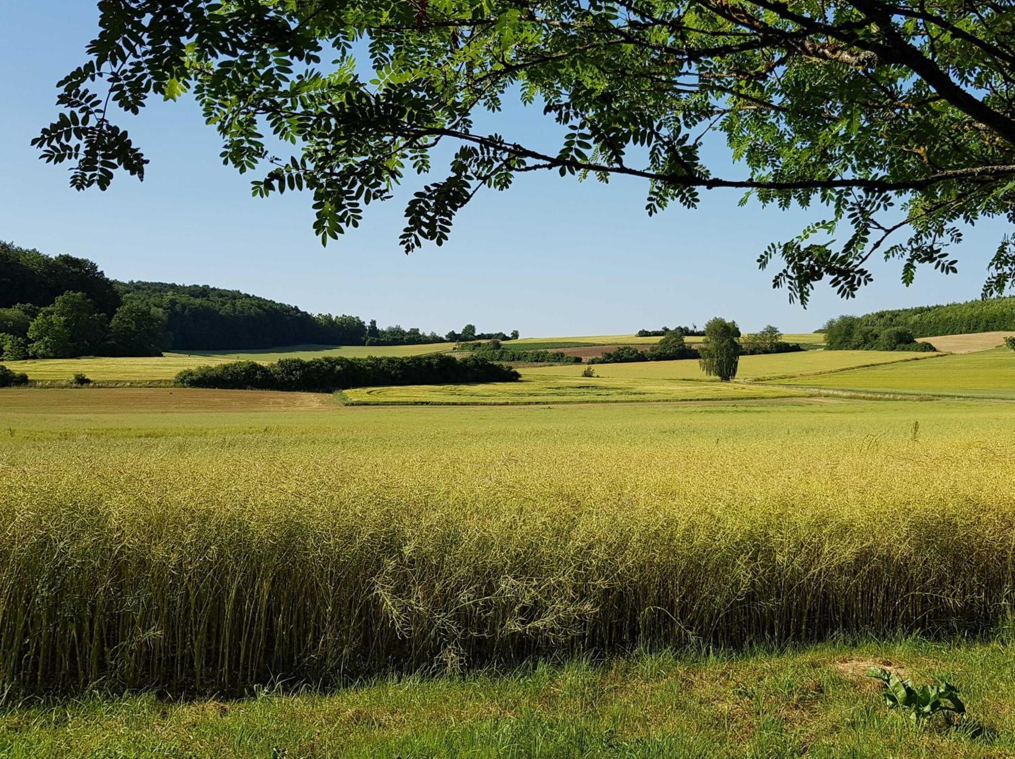 Ferienhaus Forstblick Betzenstein Luaran gambar